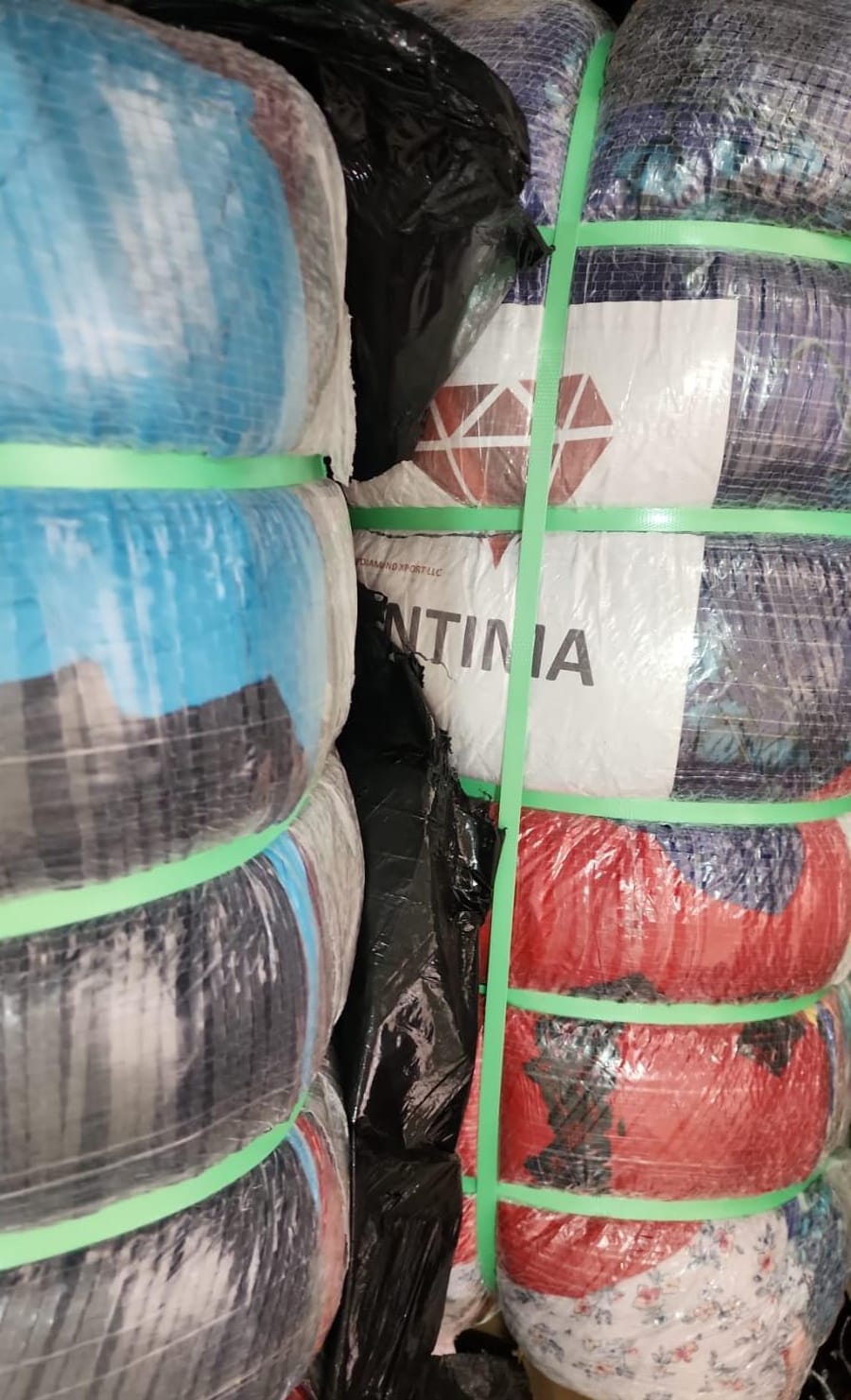 PACA AMERICANA-mixta invierno(juvenil) Hombre/Mujer